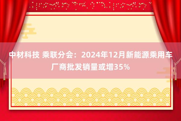 中材科技 乘联分会：2024年12月新能源乘用车厂商批发销量或增35%