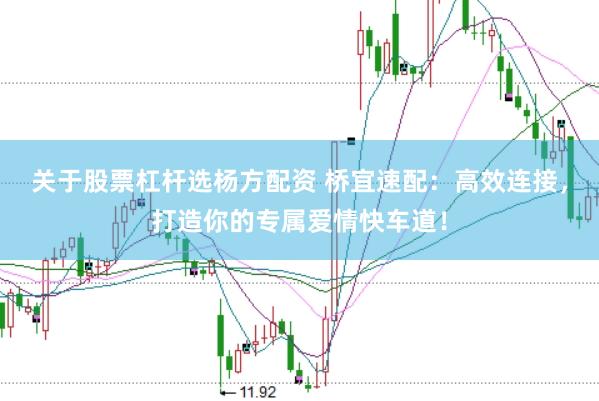 关于股票杠杆选杨方配资 桥宜速配：高效连接，打造你的专属爱情快车道！