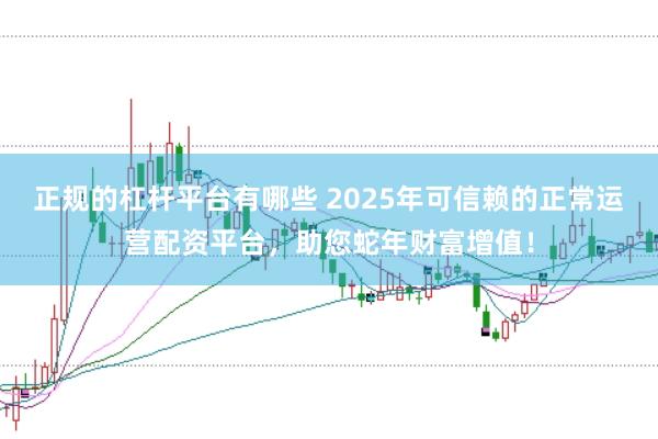 正规的杠杆平台有哪些 2025年可信赖的正常运营配资平台，助您蛇年财富增值！