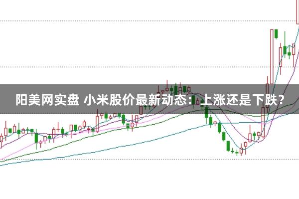阳美网实盘 小米股价最新动态：上涨还是下跌？
