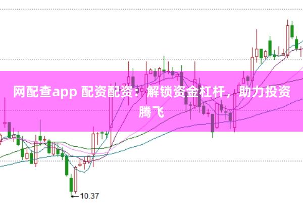 网配查app 配资配资：解锁资金杠杆，助力投资腾飞