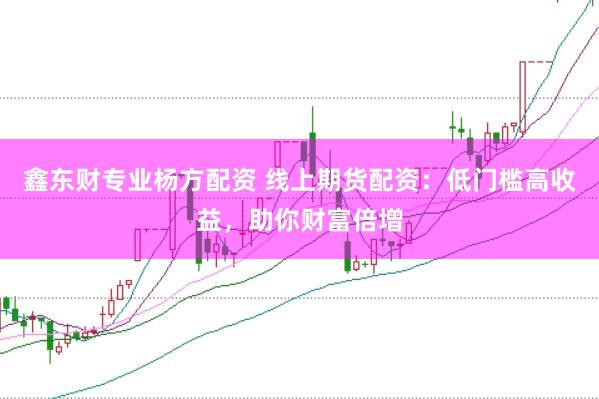 鑫东财专业杨方配资 线上期货配资：低门槛高收益，助你财富倍增