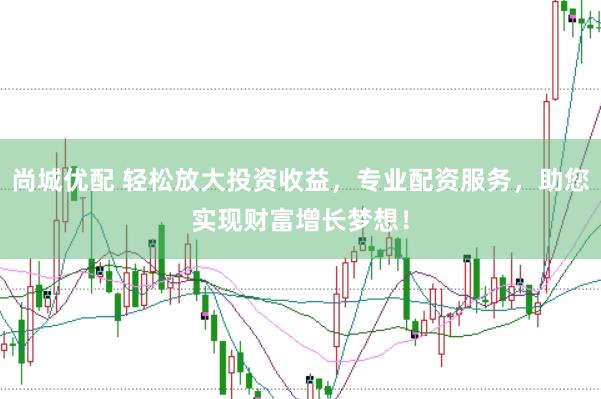 尚城优配 轻松放大投资收益，专业配资服务，助您实现财富增长梦想！