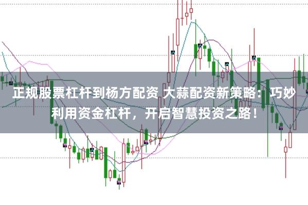 正规股票杠杆到杨方配资 大蒜配资新策略：巧妙利用资金杠杆，开启智慧投资之路！