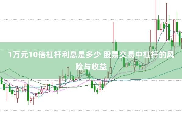 1万元10倍杠杆利息是多少 股票交易中杠杆的风险与收益