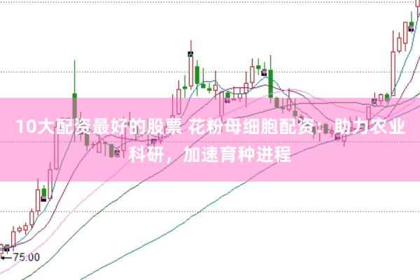 10大配资最好的股票 花粉母细胞配资：助力农业科研，加速育种进程