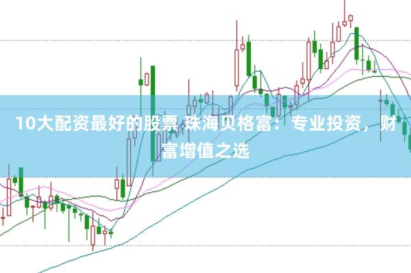 10大配资最好的股票 珠海贝格富：专业投资，财富增值之选
