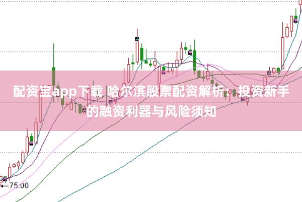 配资宝app下载 哈尔滨股票配资解析：投资新手的融资利器与风险须知