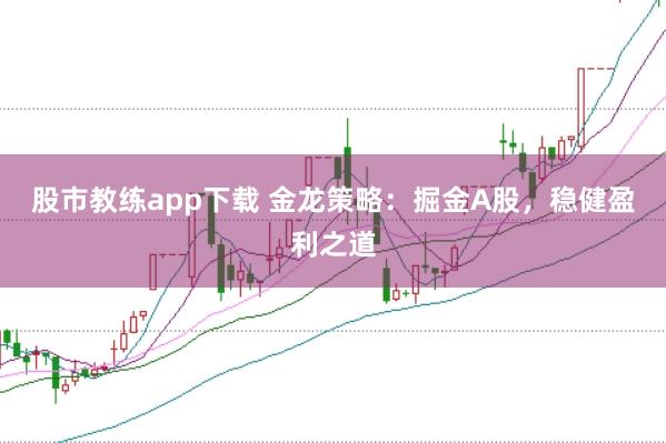 股市教练app下载 金龙策略：掘金A股，稳健盈利之道