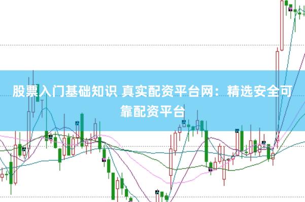 股票入门基础知识 真实配资平台网：精选安全可靠配资平台