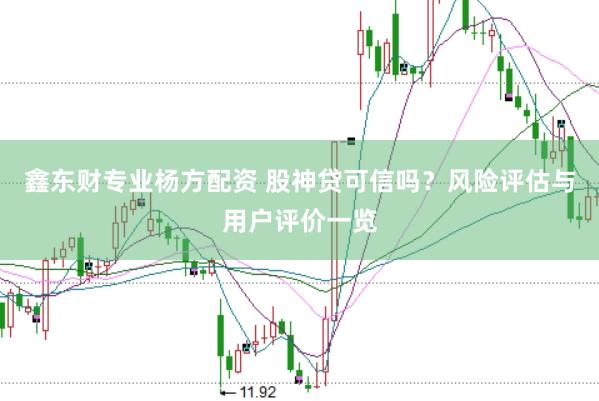 鑫东财专业杨方配资 股神贷可信吗？风险评估与用户评价一览