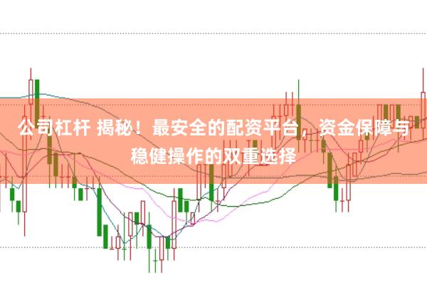公司杠杆 揭秘！最安全的配资平台，资金保障与稳健操作的双重选择