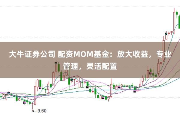 大牛证券公司 配资MOM基金：放大收益，专业管理，灵活配置