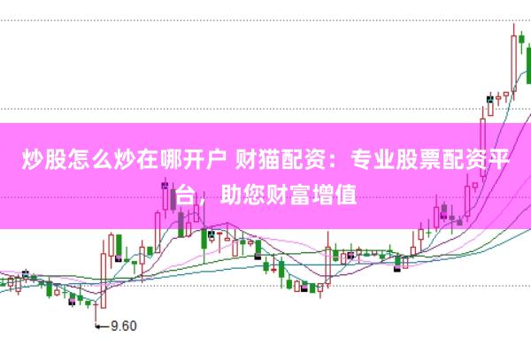 炒股怎么炒在哪开户 财猫配资：专业股票配资平台，助您财富增值