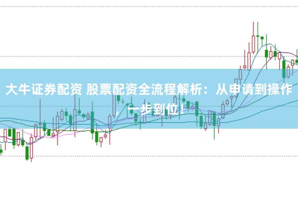 大牛证券配资 股票配资全流程解析：从申请到操作，一步到位！