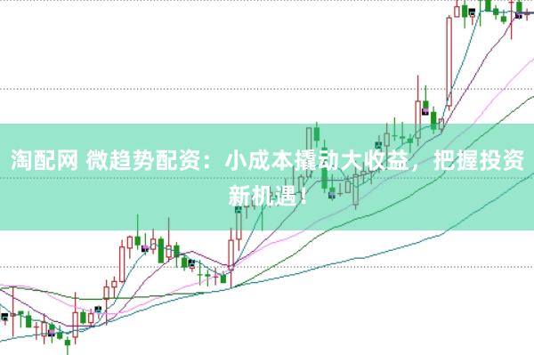 淘配网 微趋势配资：小成本撬动大收益，把握投资新机遇！
