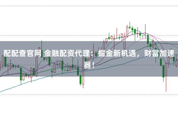 配配查官网 金融配资代理：掘金新机遇，财富加速器！