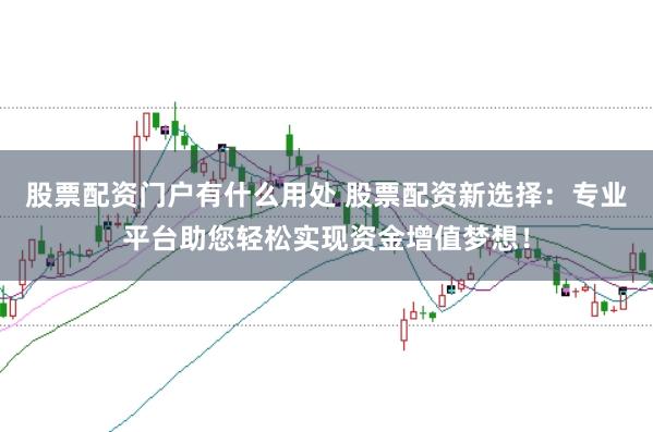 股票配资门户有什么用处 股票配资新选择：专业平台助您轻松实现资金增值梦想！