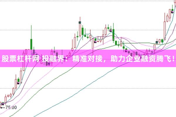 股票杠杆网 投融界：精准对接，助力企业融资腾飞！