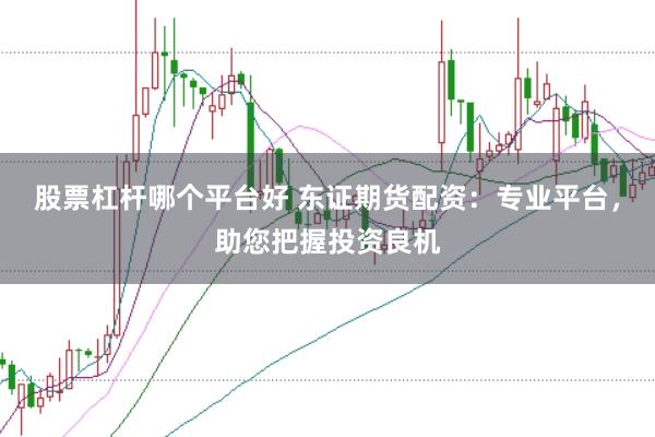 股票杠杆哪个平台好 东证期货配资：专业平台，助您把握投资良机