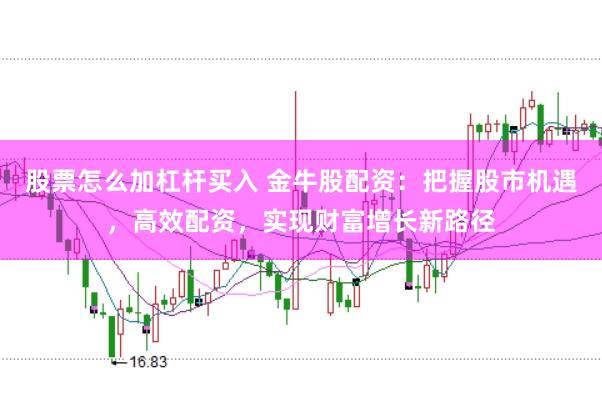 股票怎么加杠杆买入 金牛股配资：把握股市机遇，高效配资，实现财富增长新路径