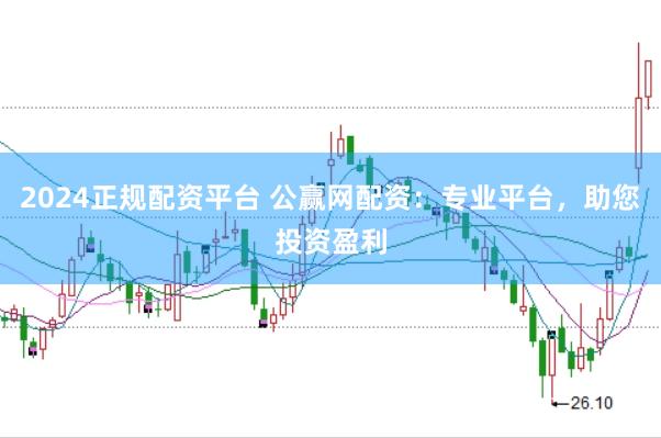2024正规配资平台 公赢网配资：专业平台，助您投资盈利