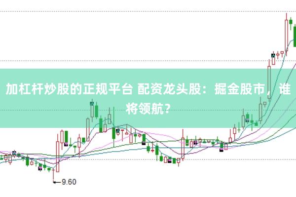 加杠杆炒股的正规平台 配资龙头股：掘金股市，谁将领航？