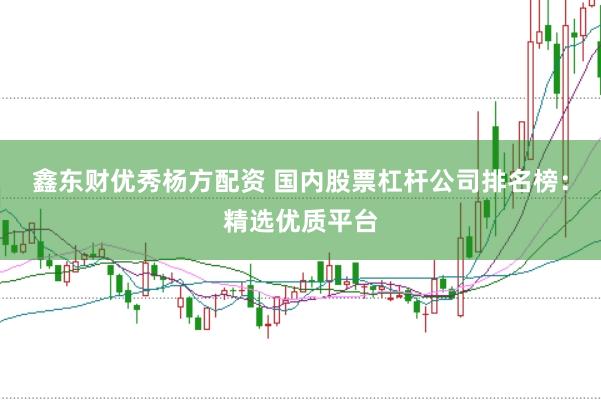 鑫东财优秀杨方配资 国内股票杠杆公司排名榜：精选优质平台