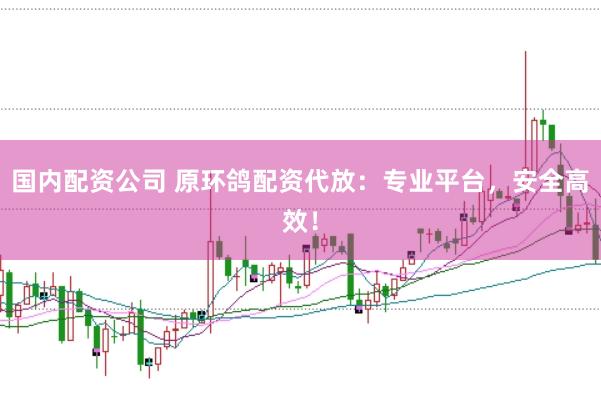 国内配资公司 原环鸽配资代放:专业平台,安全高效!