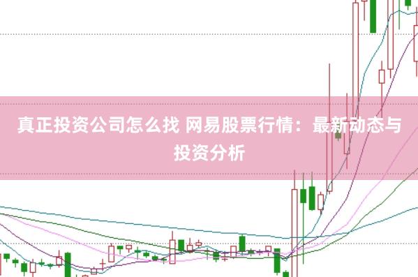 真正投资公司怎么找 网易股票行情：最新动态与投资分析