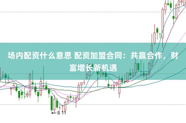 场内配资什么意思 配资加盟合同：共赢合作，财富增长新机遇