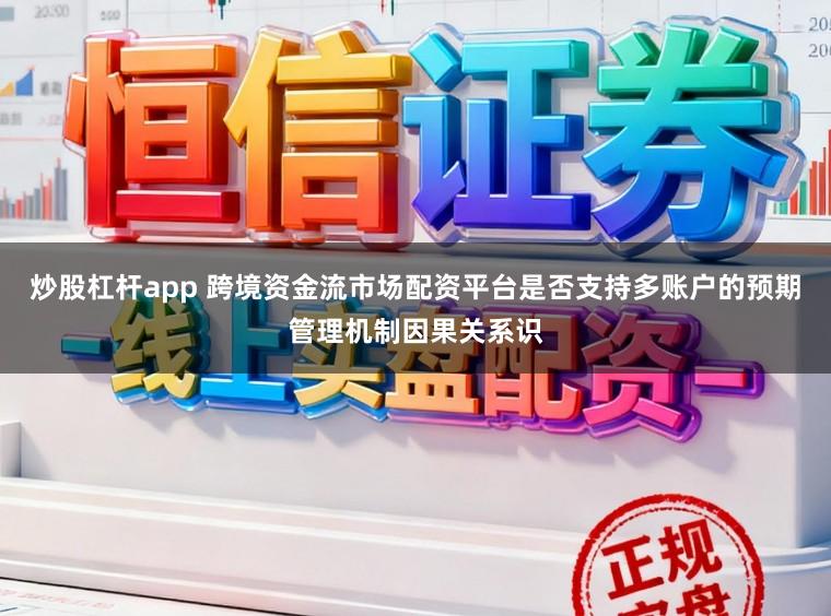 炒股杠杆app 跨境资金流市场配资平台是否支持多账户的预期管理机制因果关系识