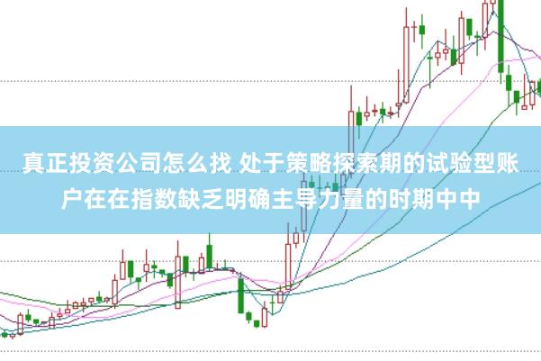真正投资公司怎么找 处于策略探索期的试验型账户在在指数缺乏明确主导力量的时期中中